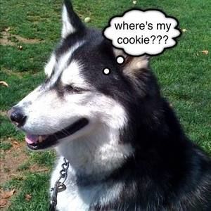 Meet your Posher, Catherine